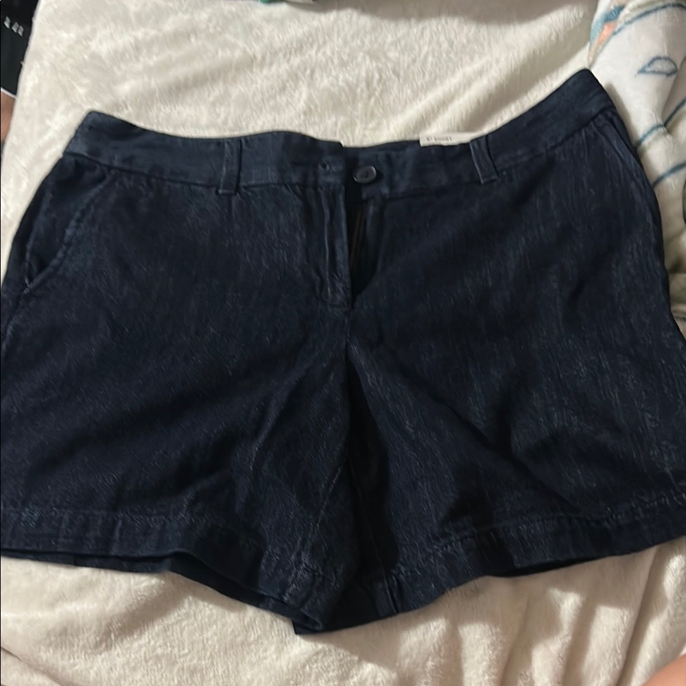 LOFT Dark Blue Women's Shorts